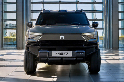 Full Front View of Warrior M817