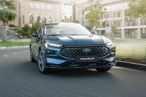 Full Front View of Taurus 