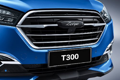 T300 Grille View