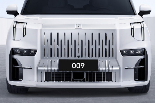 009 Grille View