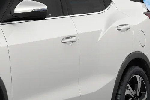 XLV Door handle