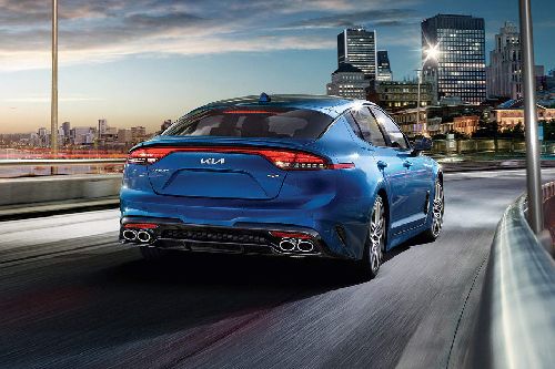 Stinger Rear angle view