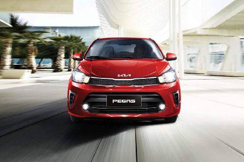 Full Front View of Pegas