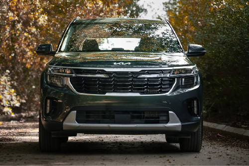 Full Front View of سيلتوس Full Front View of سيلتوس
