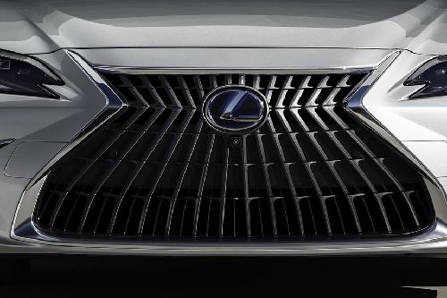 ES (2022-2023) Grille View