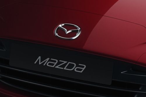MX-5 Grille View