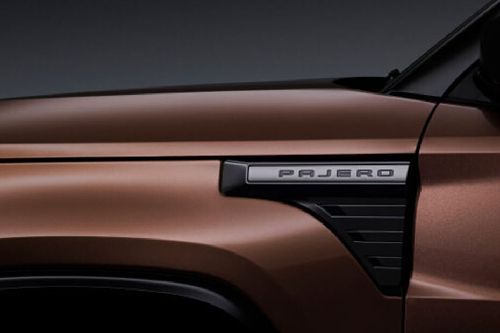 Mitsubishi Pajero Front Side View