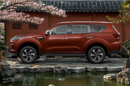 إسكتيرا  Side view