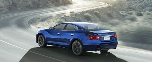 Maxima (2016-2018) Side view