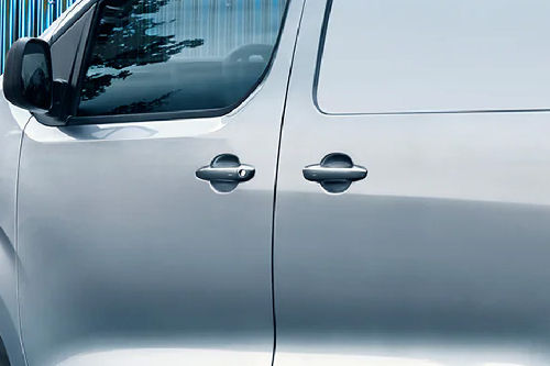Expert Door handle