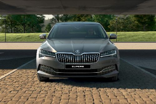 Full Front View of Superb