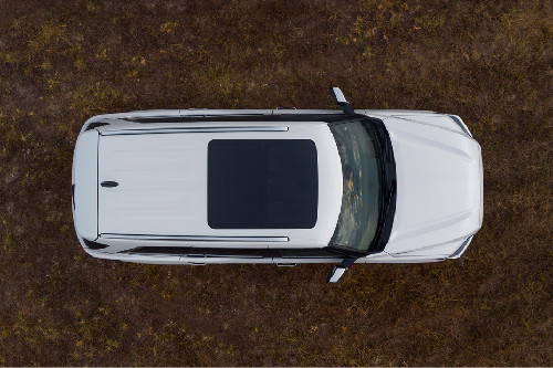 Top View of Sequoia