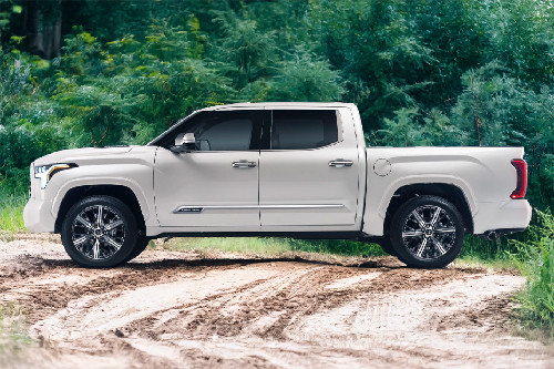 تندرا Side view