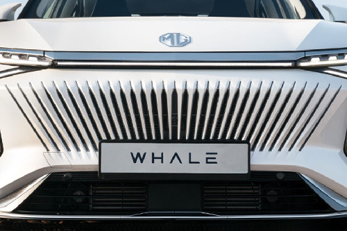 Whale Grille View