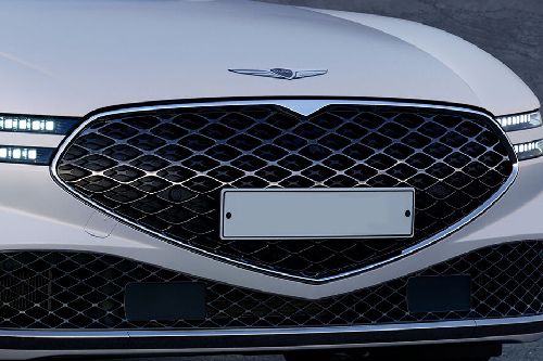 G90 Grille View