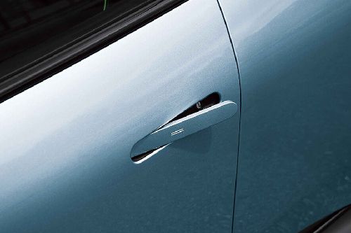 GV 60 Door handle