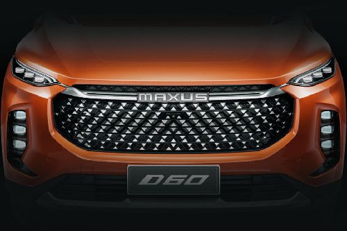 D60 Grille View