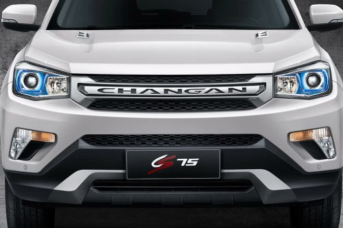 CS75 Grille View