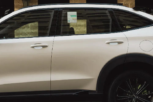 H6 GT Door handle