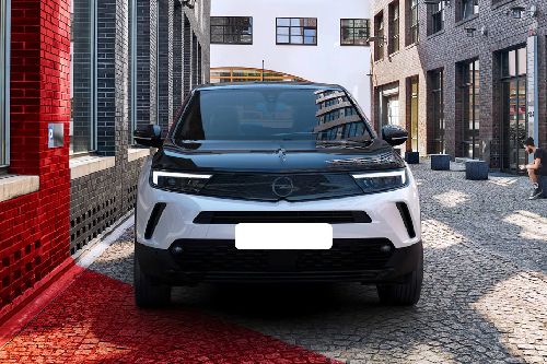 Full Front View of Mokka