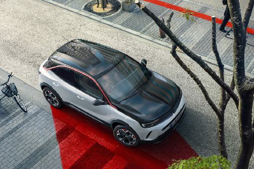 Top View of Mokka