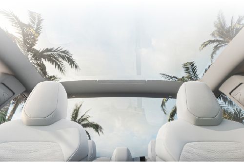 Tesla Model 3 Sunroof Moonroof