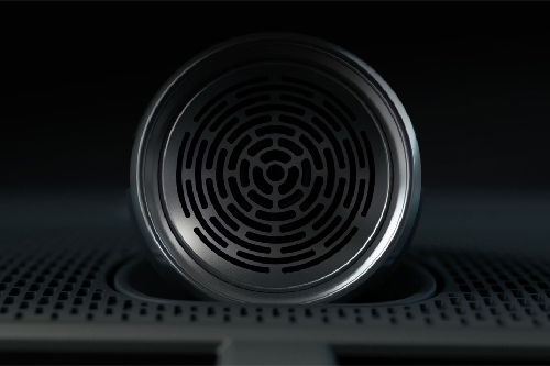 Speakers View of Polestar 2