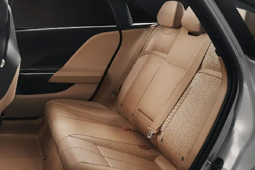 Rear Seats