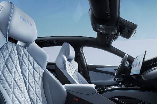 Seal Front Seats