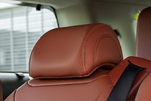 Carnival Hybrid Rear Seat Head rest