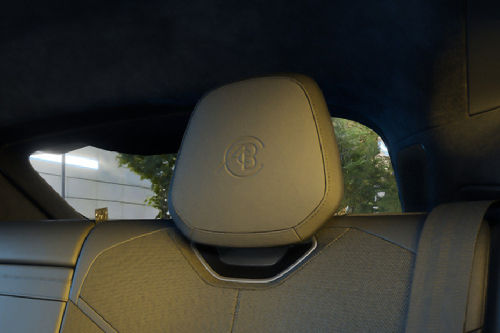 ELETRE Rear Seat Head rest