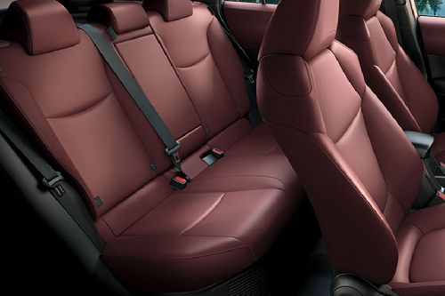 Corolla Cross (2023-2024) Seat Belt