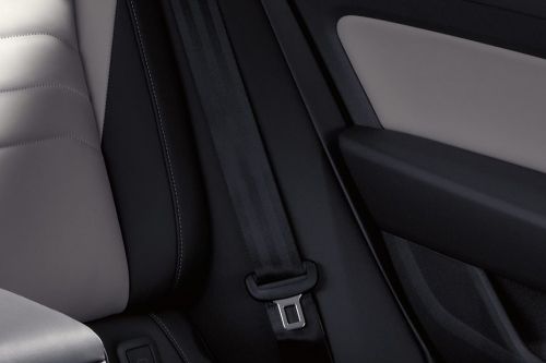 Arteon Seat Belt