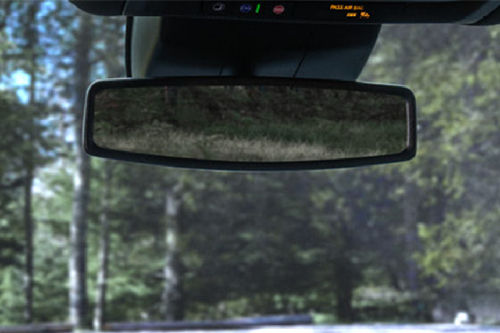 Tahoe Courtesy Lamps