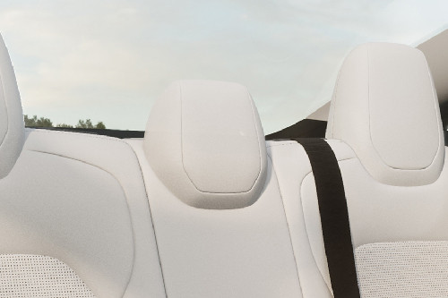Model 3 Rear Seat Head rest